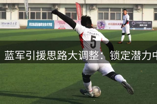 蓝军引援思路大调整：锁定潜力中场 后防大清洗在即