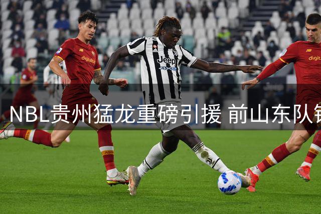 NBL贵州猛龙重磅引援 前山东队锋线大将刘毅强势加盟